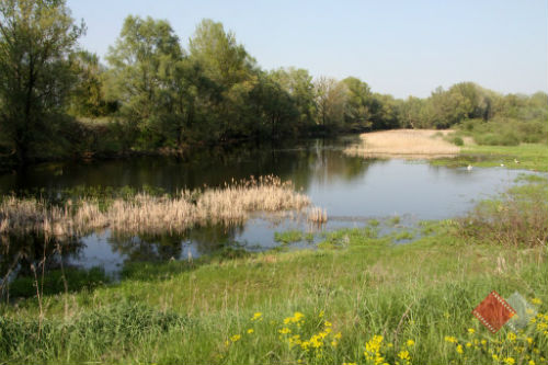 Meadows in Boża Wola