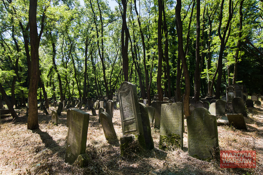 Jewish Cemetery, Warsaw
