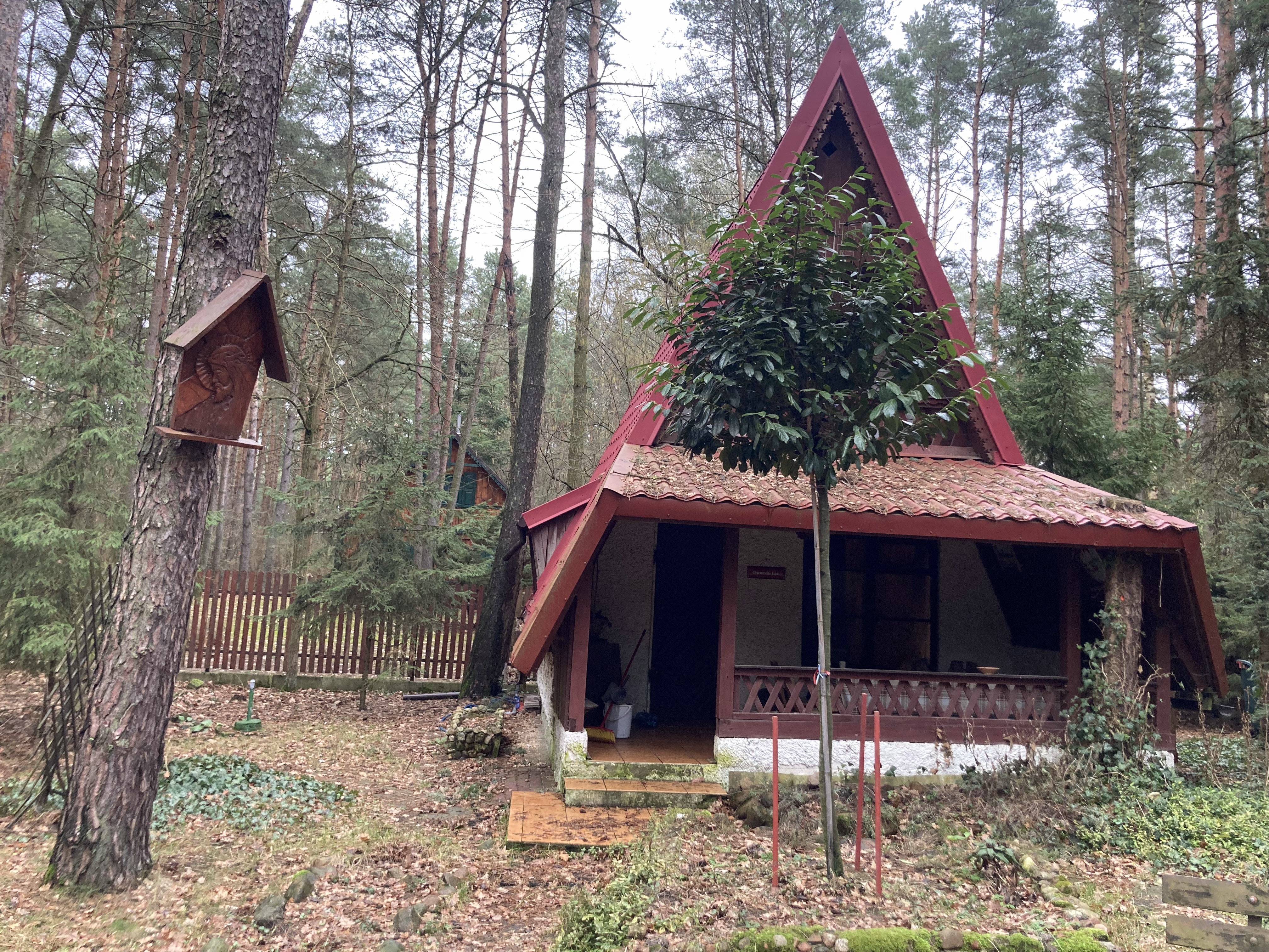 Summer cottage in the forest