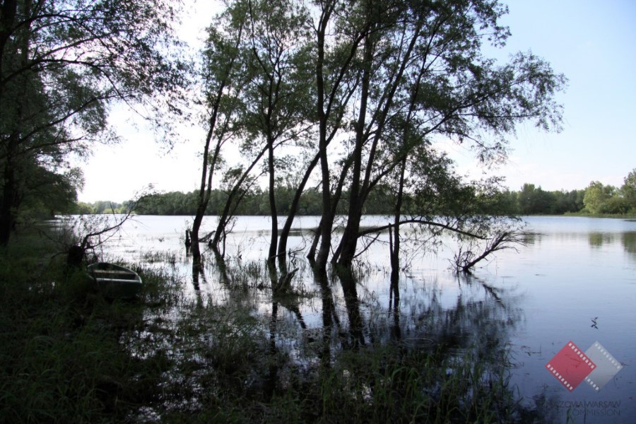 Vistula river in Nowe Grochale