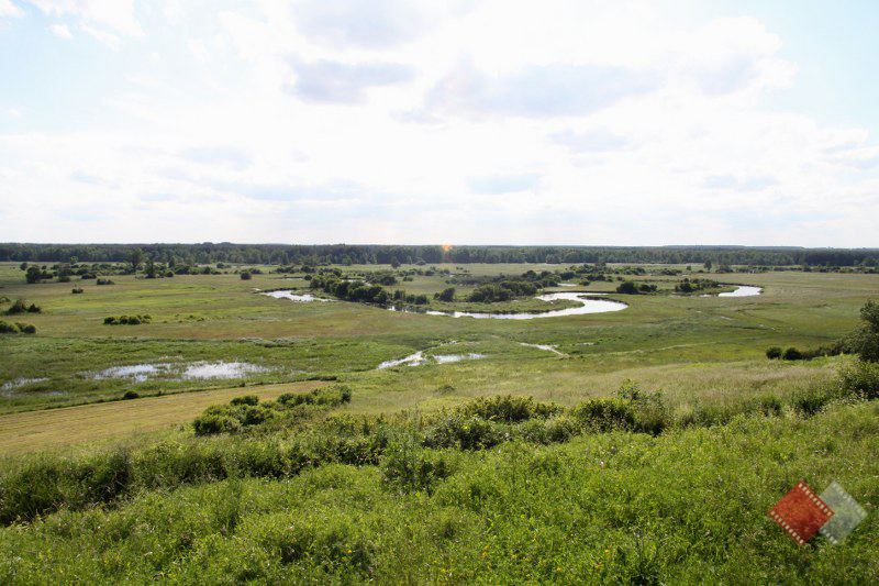 Rzeka Liwiec zakola