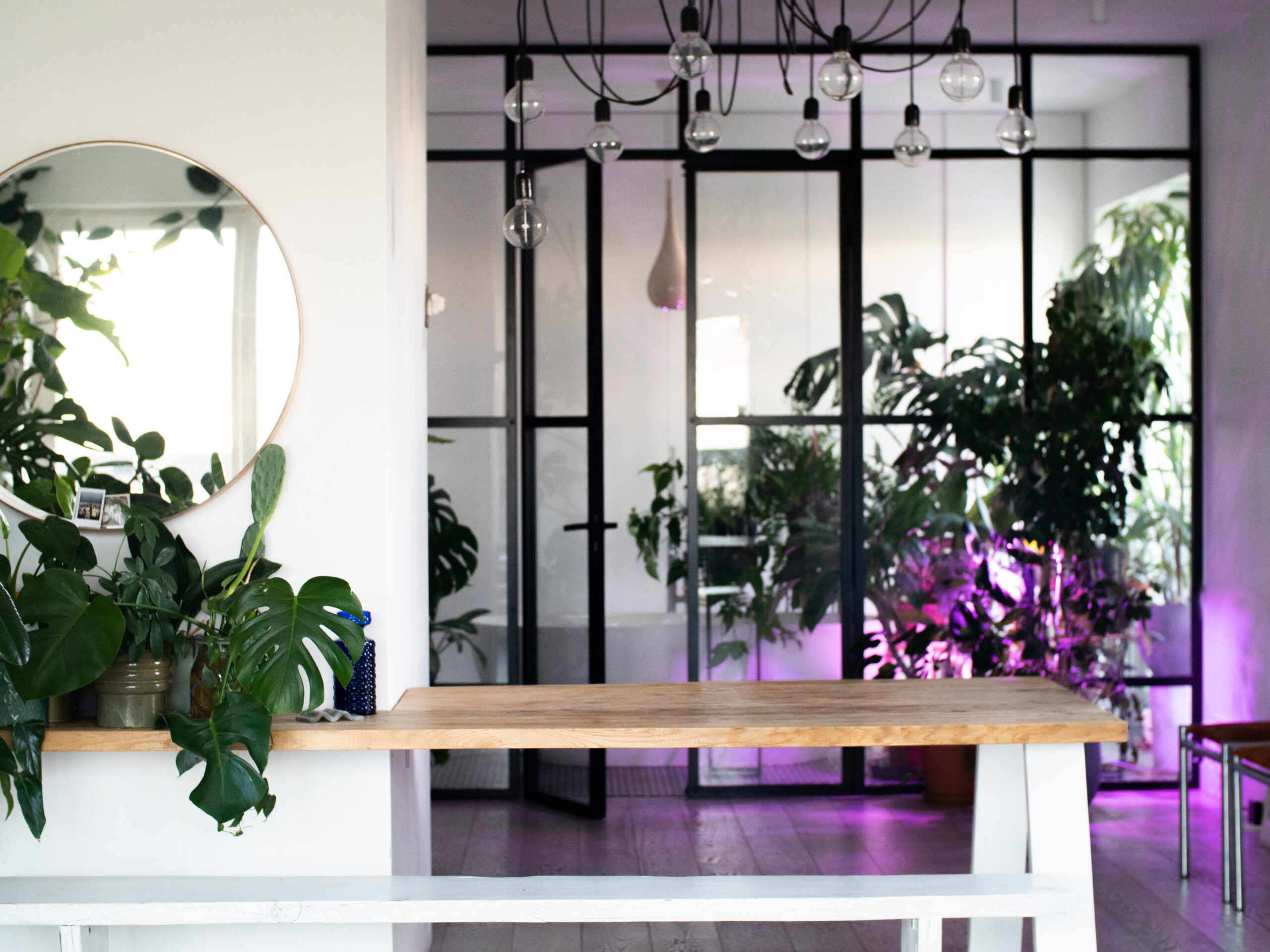 An apartment full of plants