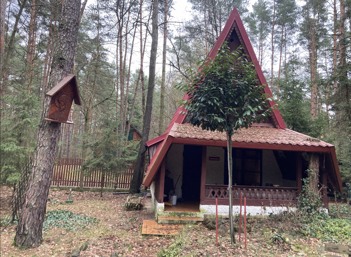 Domek Letniskowy w lesie pod Warszawą