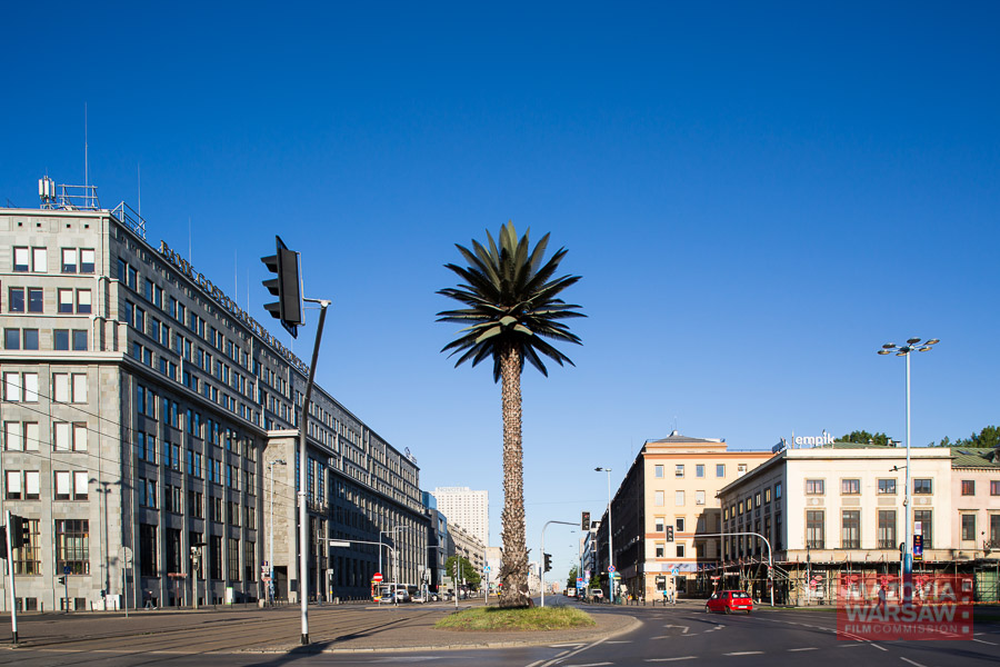 Palm tree, Warszawa