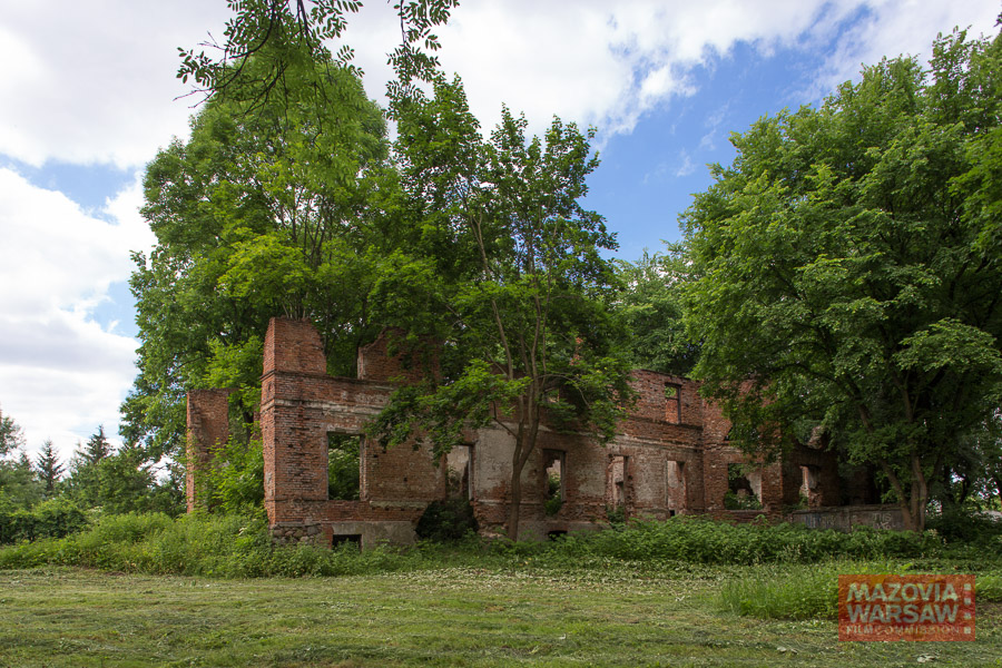Ruiny pałacu Łubieńskich, Okuniew